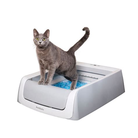 petsmart electric litter box|petsmart disposable cat litter box.